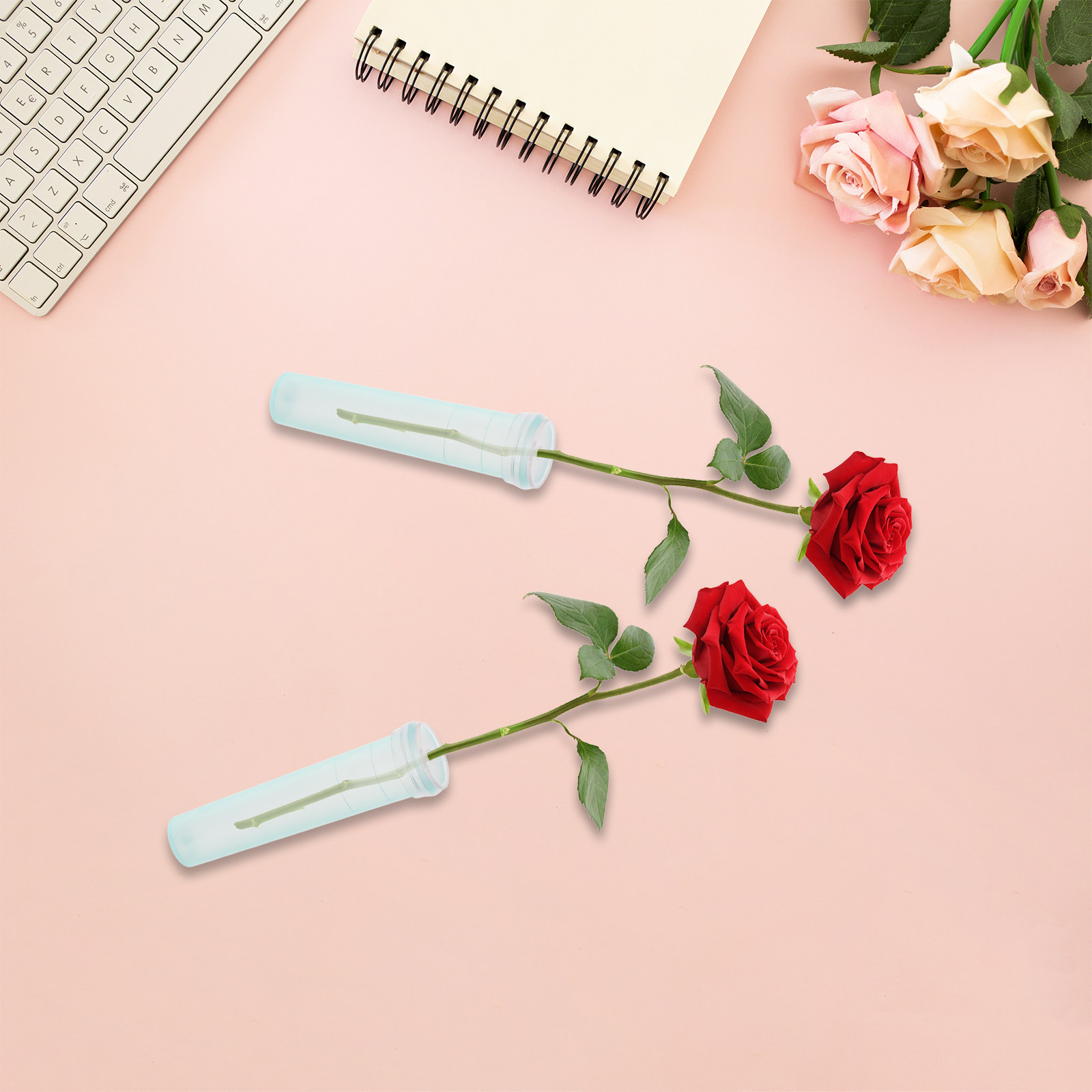 100 Tubes de Conservation des  - Anda Florist Supply avis et prix