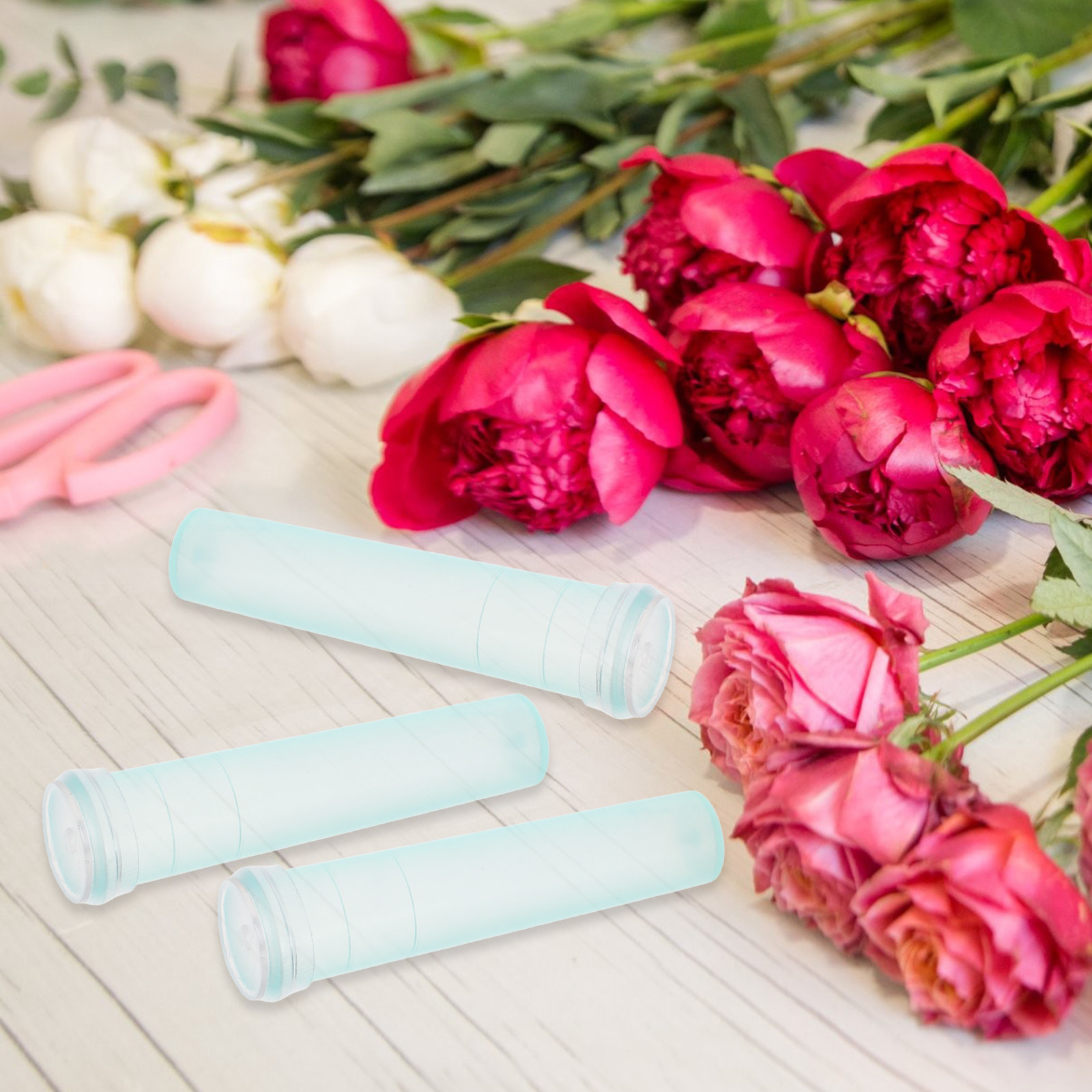100 Tubes de Conservation des  - Anda Florist Supply avis et prix